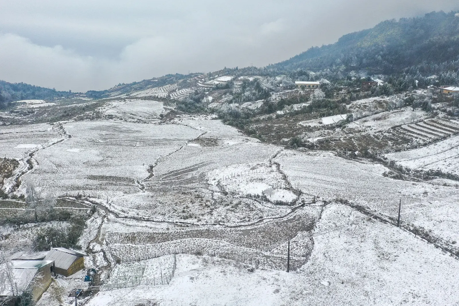 jwq573 13 1610702501 a 11