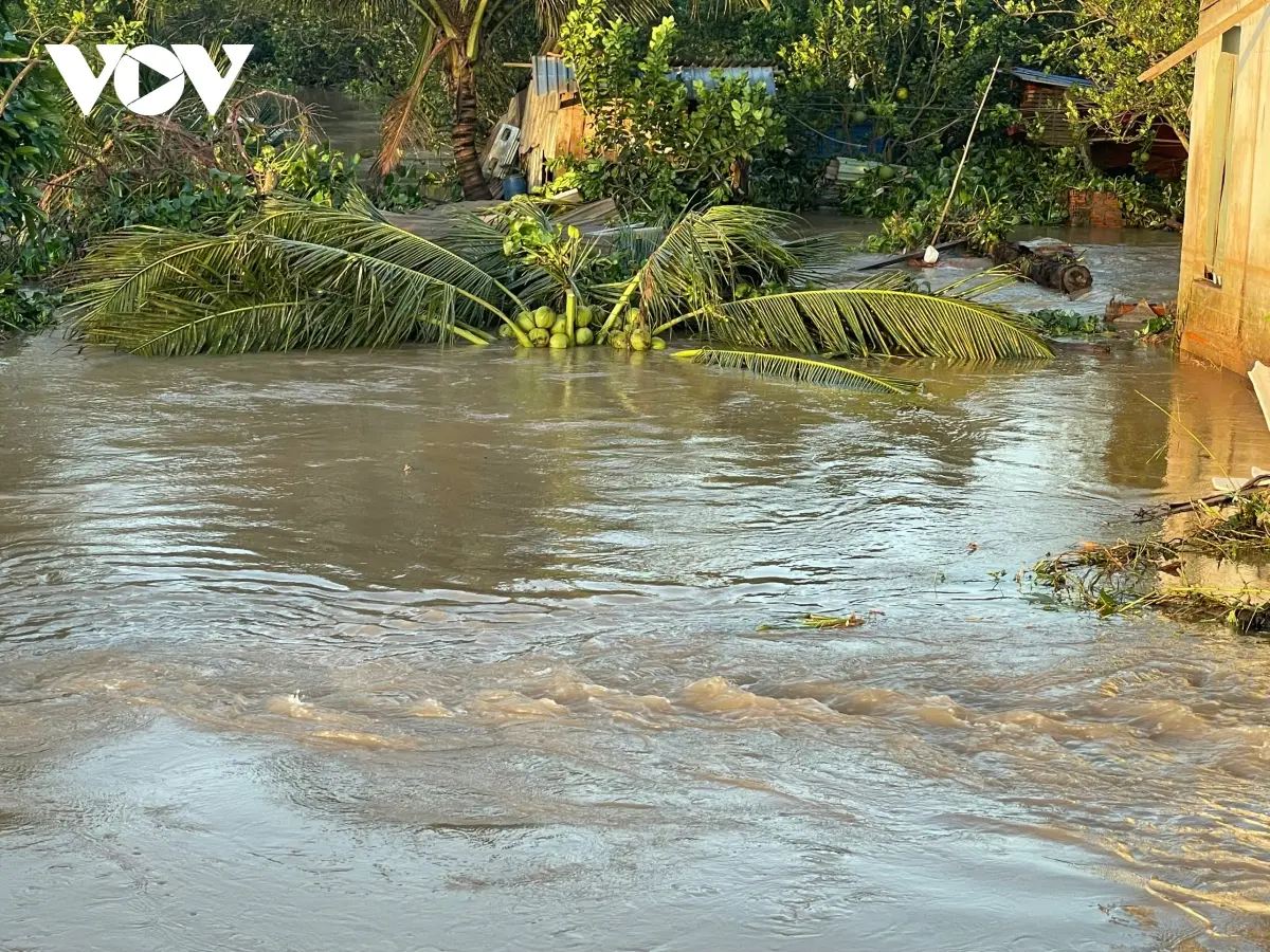 kba8uy nhieu vuon cay tai con thanh long bi chim trong bien nuoc