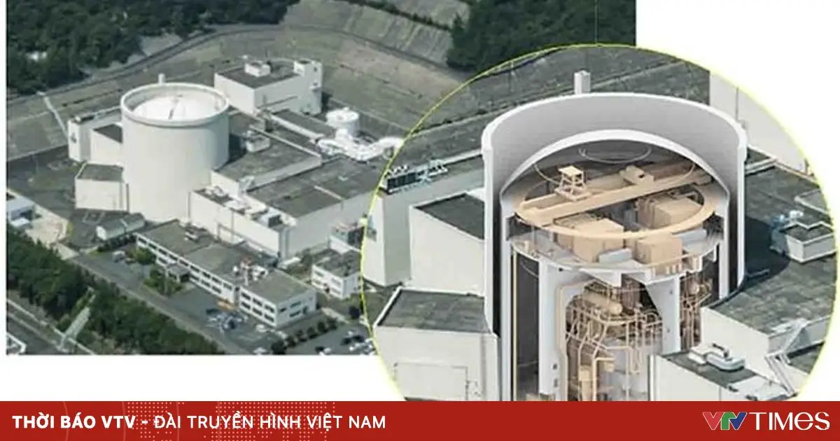 kuzdfw 3 1 33651236736768940086775 21833043321922688702339