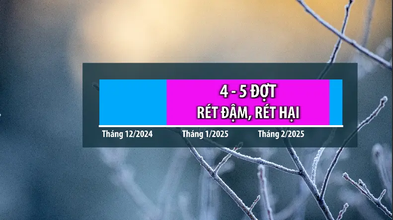 ld2hvr 10 99692587910484157764445