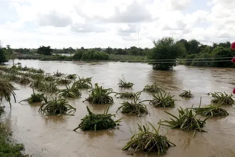 megdcw mg7466 1761560796737104859476