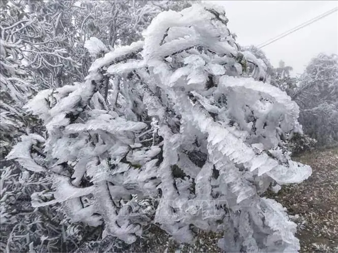 mgwmsk mien bac ret dam ret hai va mua 17364647927891566990561