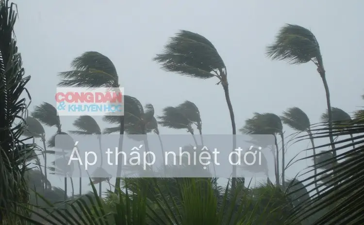 mpgk2z ap thap nhiet doicdkh 17650757678041013686400 42 0 1041 1599 crop 17650757734651079596980
