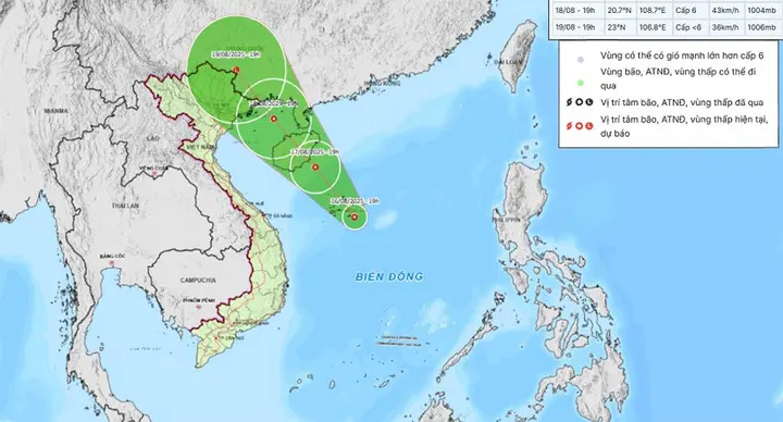o8e77v ap thap nhiet doi 20201968