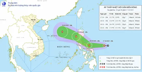 p2h3t6 bao fengshen 17607065266942146792038