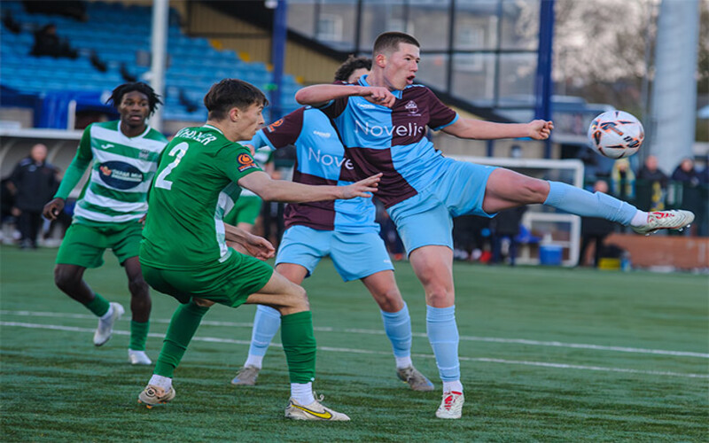 phong do cua lee williams