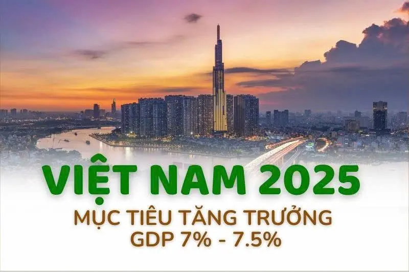 pj3a31 a bia 1736309724979