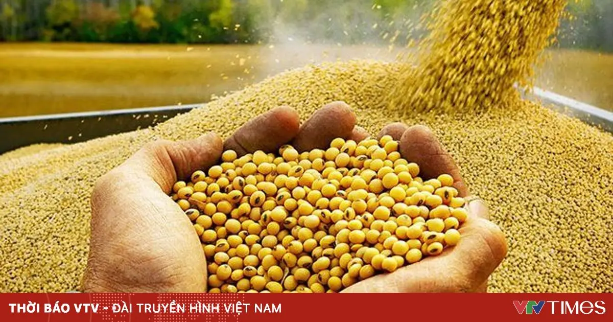 q6zyw4 dau tuong 88228072191145739712189 00938527307481224563045 01200147663442235044653