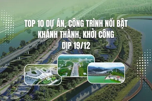 r72ypy 33 1766104090 109 1766073292 thumb infographic 9