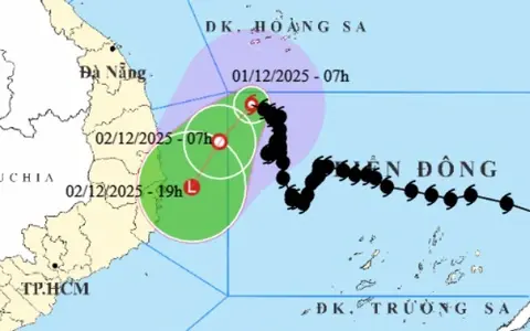 rulths bao 1764560811041871617897 490 295 881 920 crop 17645608837711751158446