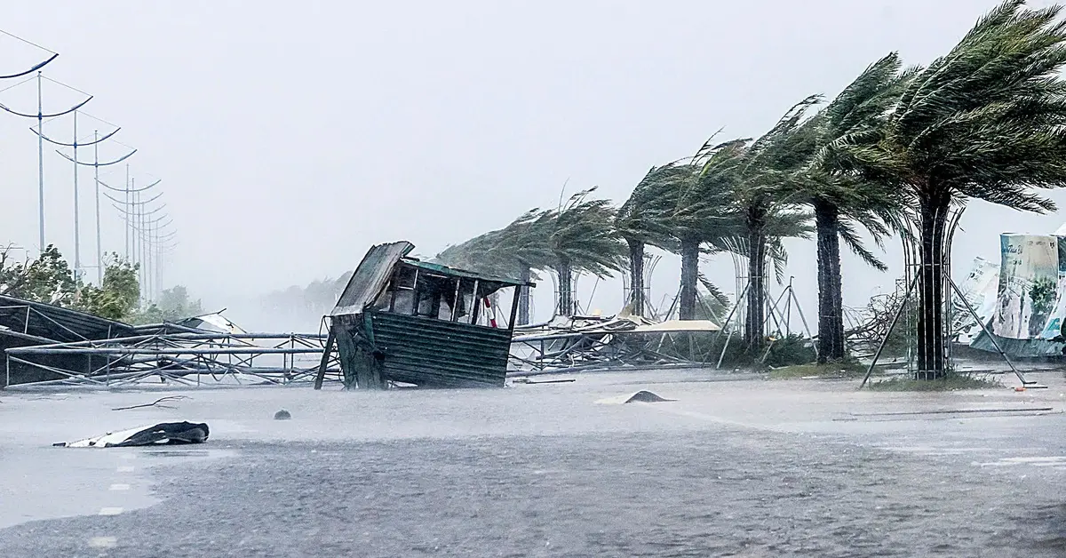 rxg3q4 bao so 3 quang ninh anh nguyen khanh 1735662644479736867594 172 0 1219 2000 crop 17427923799831202751913