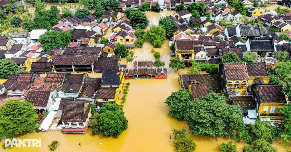 t4gqxd hoi an chim trong bien nuoc cropped 1764162127100