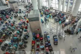 tlrioy 173908 hang hang khong lon nhat an do ket thuc tinh trang hon loan keo dai