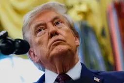 viy04p 1756958989 305 thumbnail width740height495 anh cat 3 2