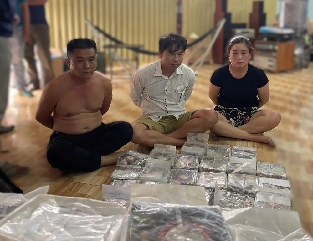 vovtyf 787194433460487735