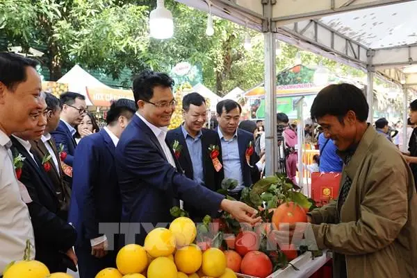 vpy8zw 142115 to chuc quang ba dac san cam hung yen toi khach hang thu do