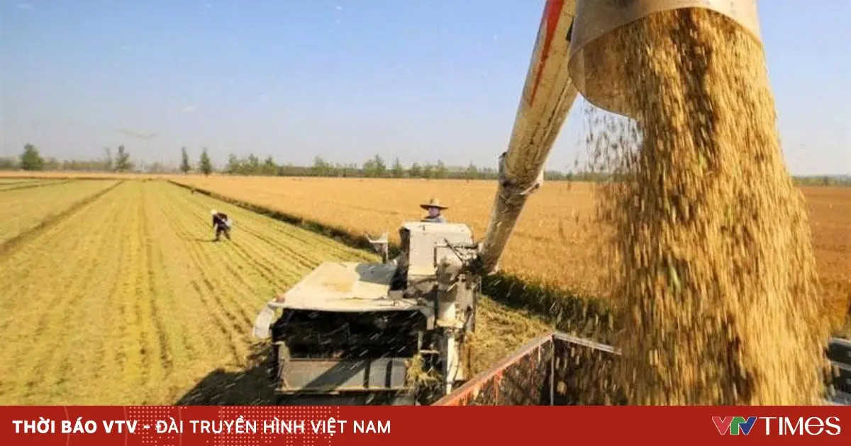 x0q7zu package media 77137324813206966129523 55661713406552780844313