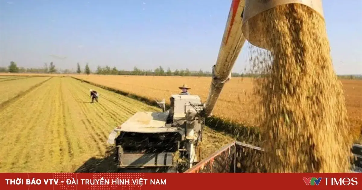 xhv79s q5b4m6 package media 77137324813206966129523 55661713406552780844313