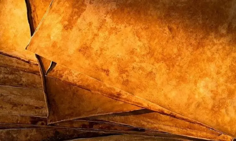 z436cz Capture JPG 7594 1638767795