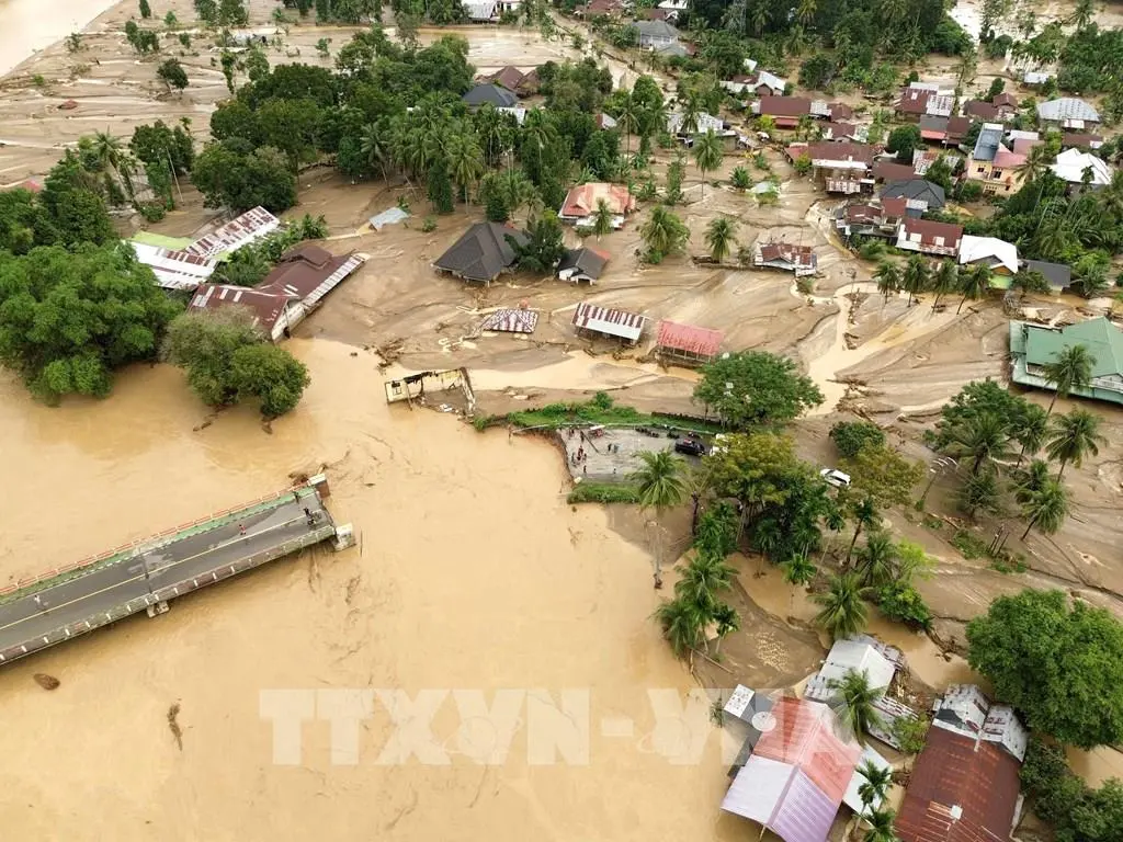 zfwcqm 195953 mua lu tai chau a van con hang tram nguoi mat tich