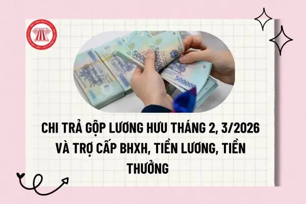 1ivxky chi tra gop luong huu