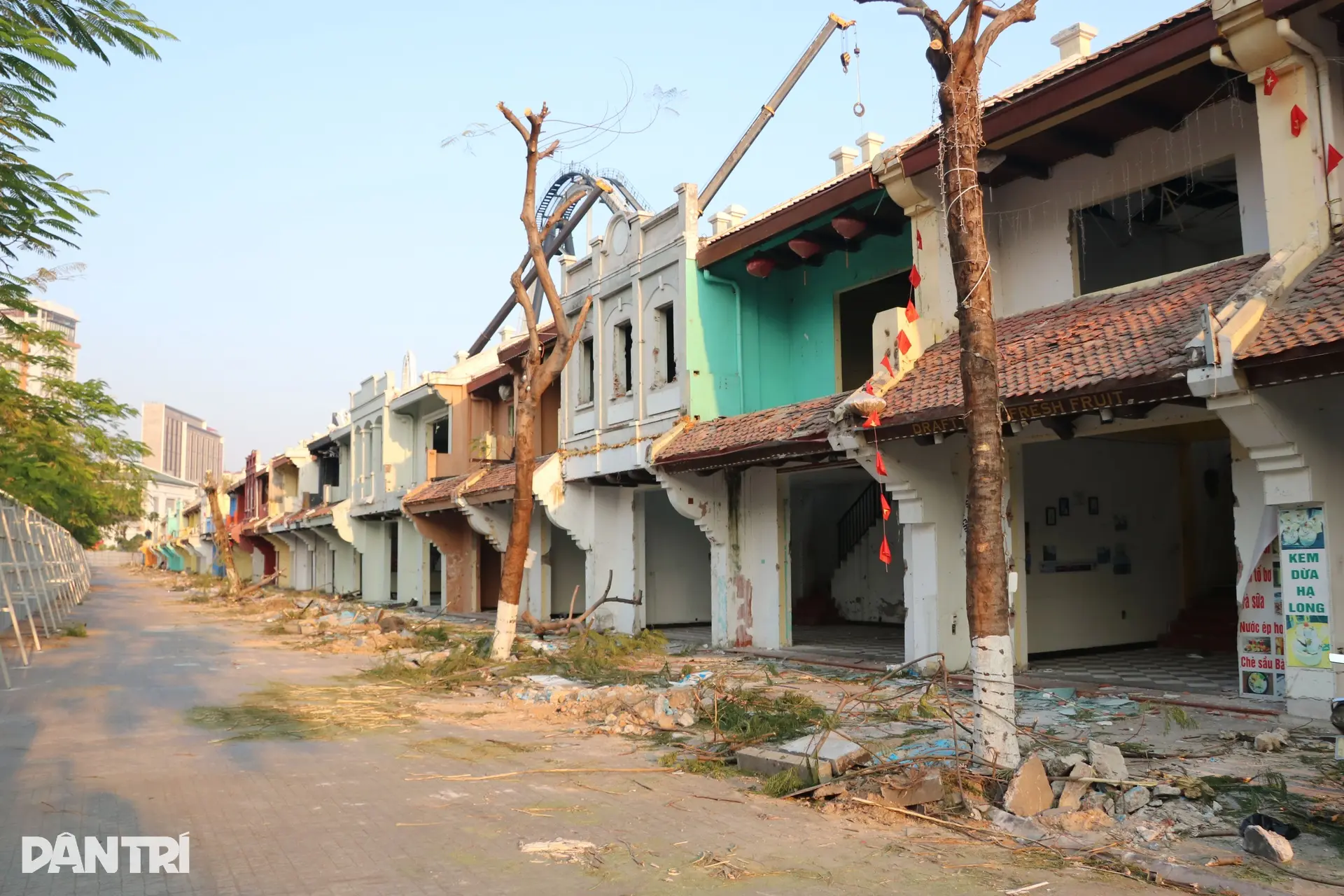 5vfv1t pha pho co ha long 7jpg 1768396137484