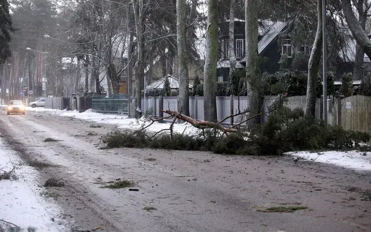 7vjxn3 h38z 62040602166088338649996 33468693861606126587406