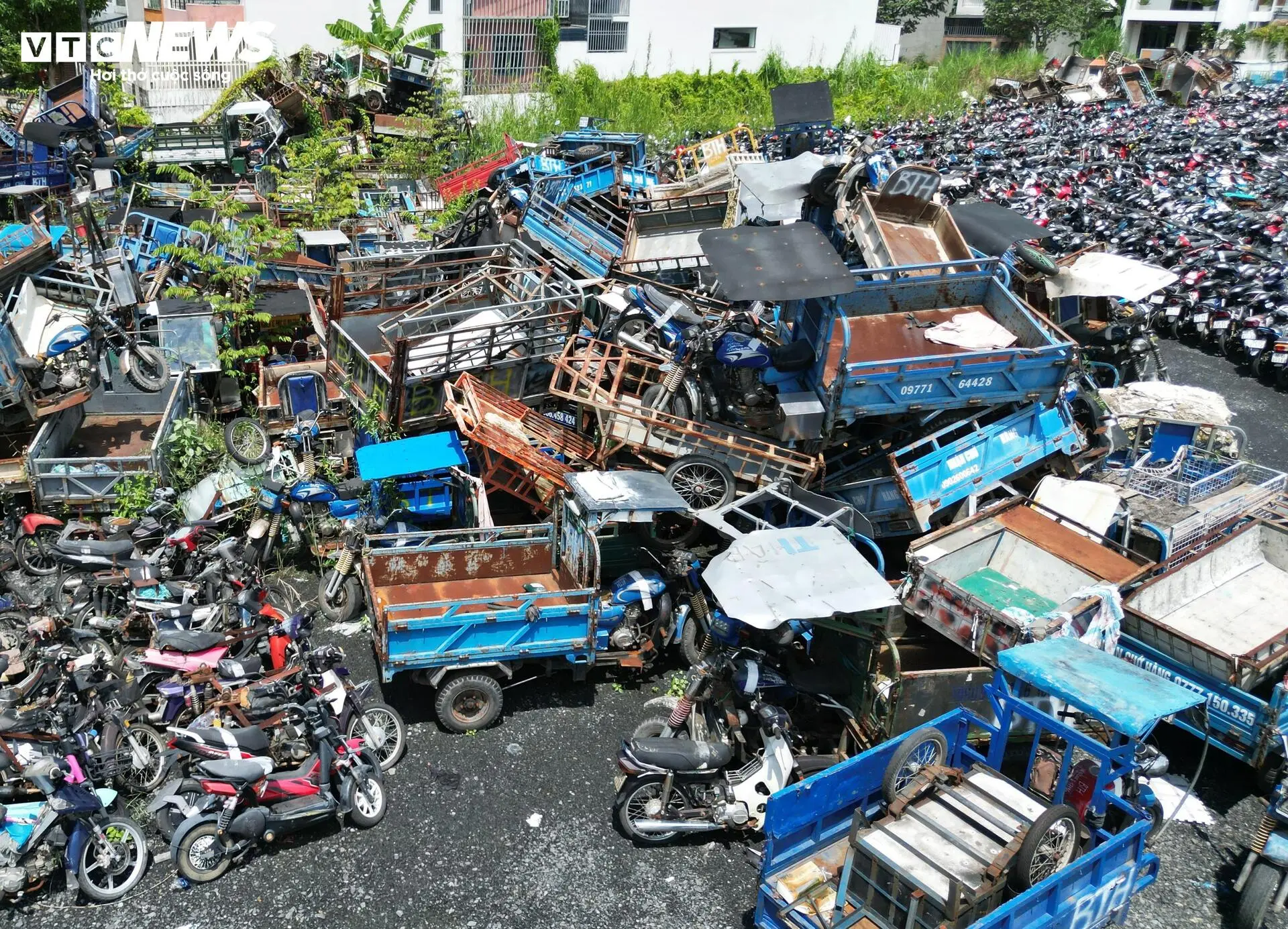 a1cwdq bai xe vi pham duoc dau gia thanh cong16 13453503 1759626186626 1759626187821482665585