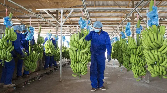 azkhh8 photo 1 1644549137431379842966 1653906803808730485212 crop 16539068222141278474403