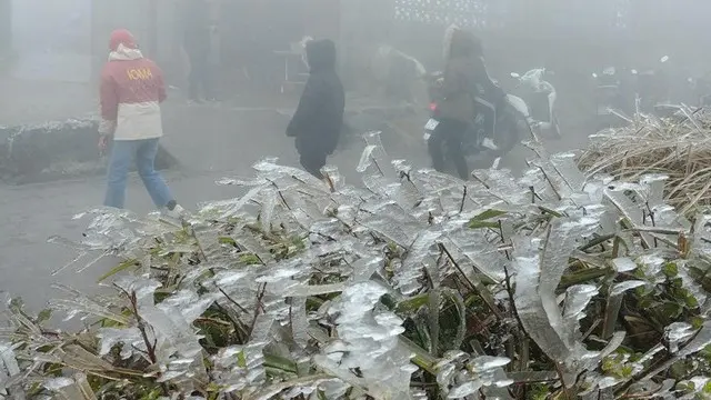 gv1weq ret dam thang 1 17365643661142138221094