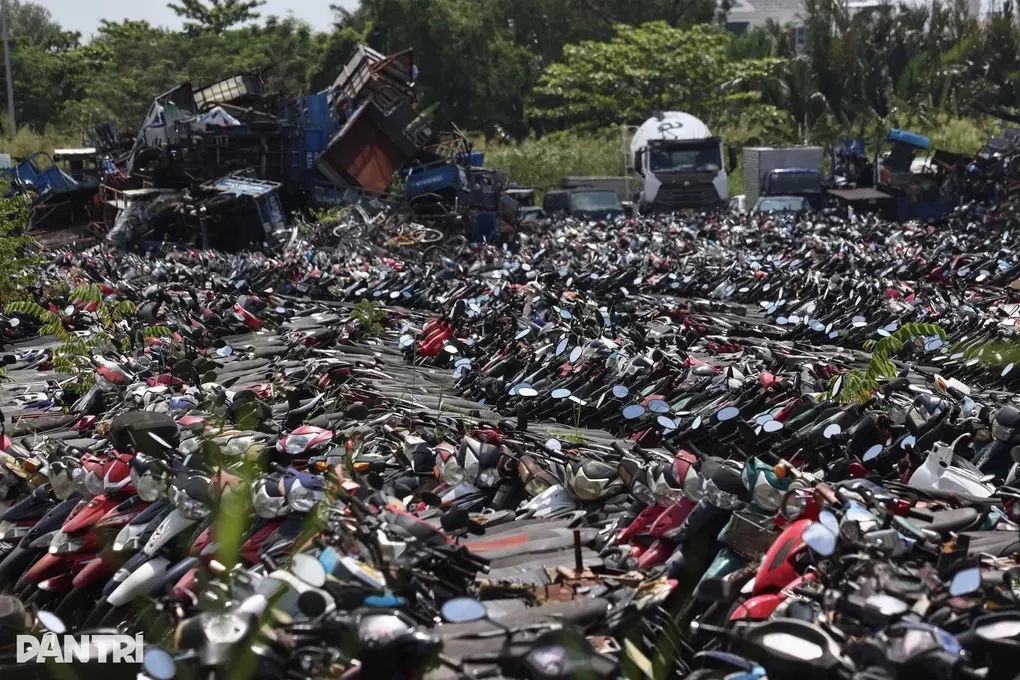 hbqq92 hon 24000 xe may vi pham o tphcm duoc rao ban gia tu 470000 dongchiec 1768032376420