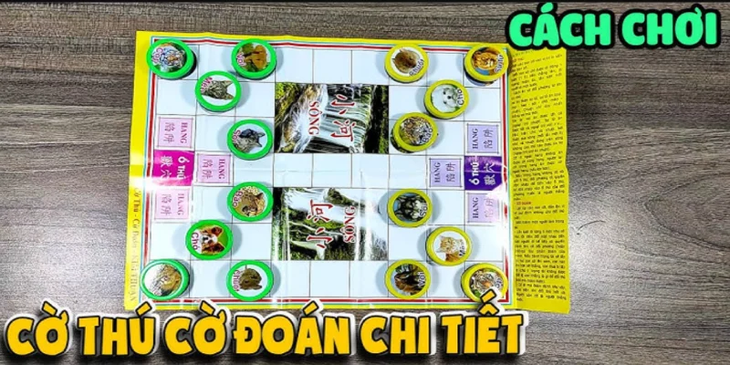 huong dan choi co thu chi tiet