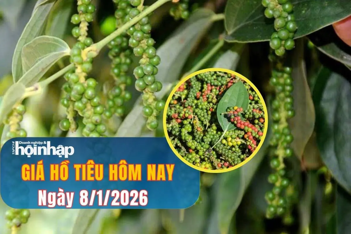 i9az2j 5820260102153342