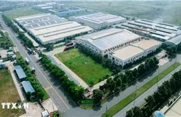 im9jcd thu ngan sach tay ninh