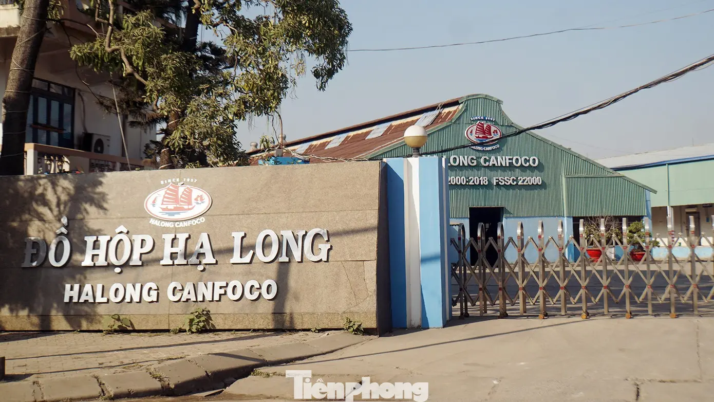 kjetb7 tp do ho ha long 2 1767960153087 1767960153337786951039