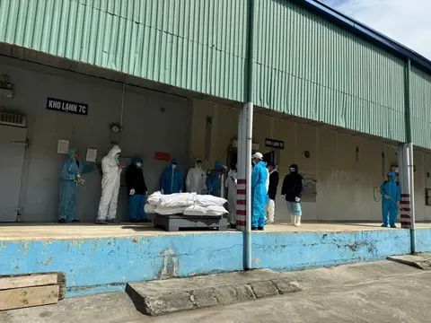 lia53b z7409442362458e068c4986c25b4f815a1e45d6c423ff1 17678531692411492711971