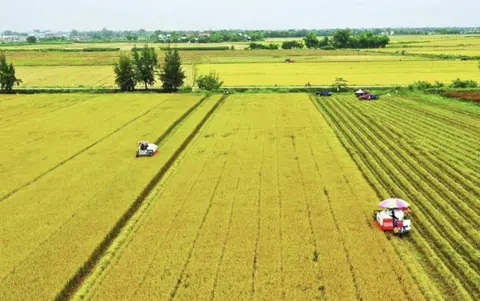 n52wle screen shot 2026 01 01 at 080743 1767230264008631136639