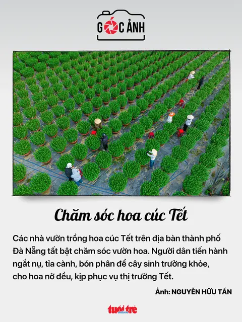 nwldfq goc anh202601132051090000 1768317674578880286673