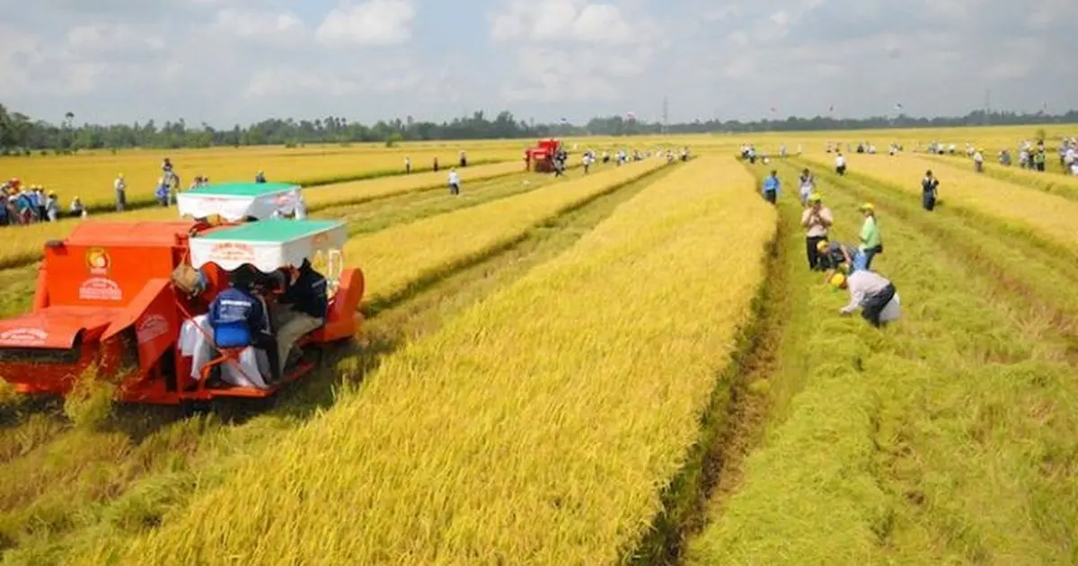 o5nbf4 thue su dung dat 1767228145