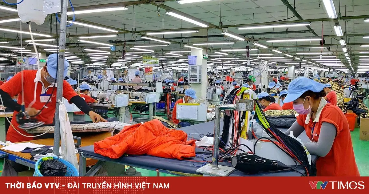 pankgk 15 6 chuyen dich co cau lao dong 75464419218050751193362 10723335202640978258235