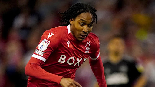 phong cach thi dau cua djed spence