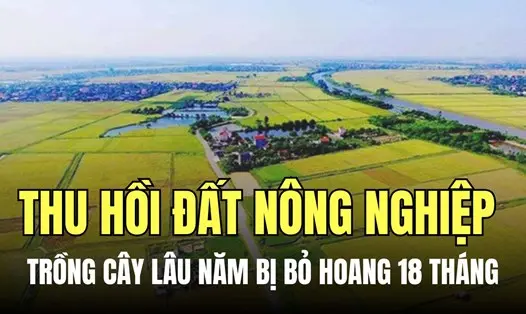 sut64o Dat Nong Nghiep
