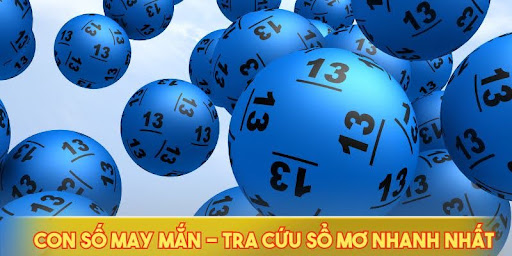 tra cuu so mo con so may man