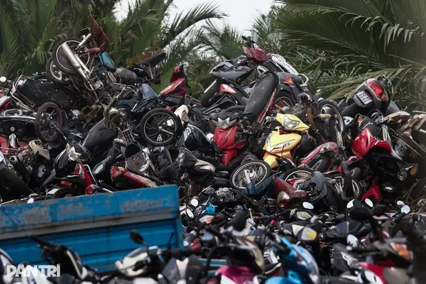 uv8auh hon 24000 xe may vi pham o tphcm duoc rao ban gia tu 470000 dongchiec 1768032433976