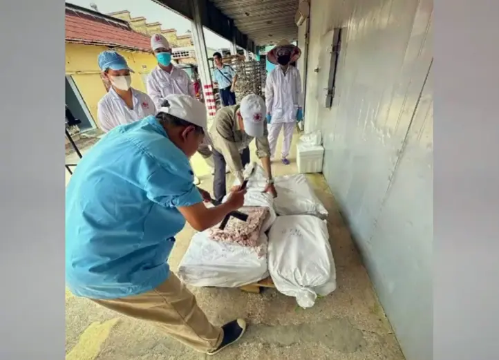 v2gk6m screenshot 2026 01 07 204347 32557218417185563408454