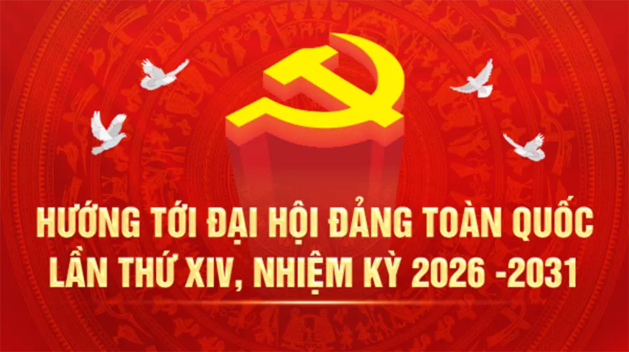 vviadp hu o ng to i dh da ng mb 15x20251021154036 1