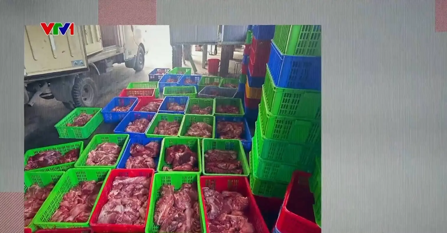 wnvbrg screenshot 3471 104259 1767848441108 17678484414721029509081