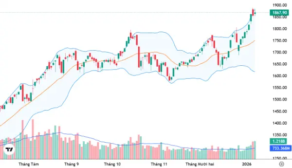 y4rvmq 03e1dfd0510c42beacc689bca484611b 62891