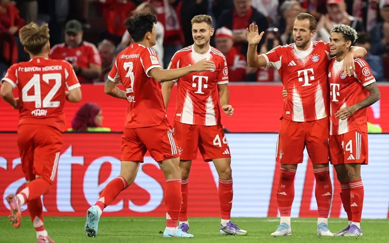 Góc Nhìn Từ Người Hâm Mộ Và Giới Chuyên Môn