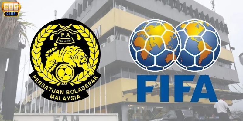 Phân tích các lỗ hổng trong quy trình xác minh